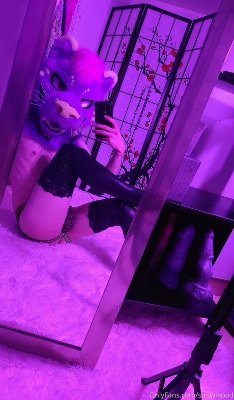 snowlepad 美しいモデル 写真