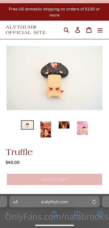 nalabrooks 素敵なモデル 写真