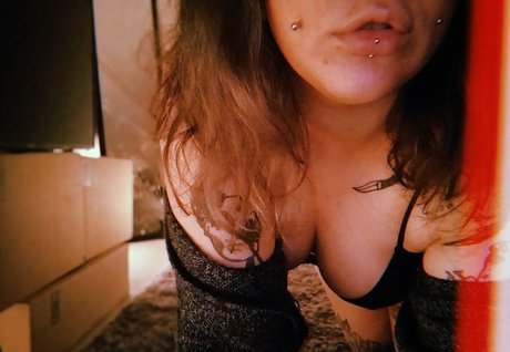 verybruta モデル アーカイブ