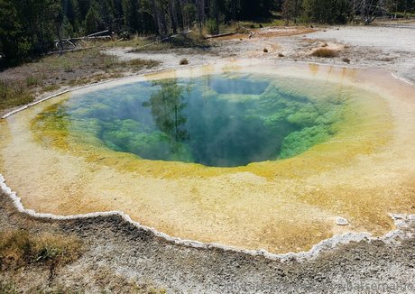 黒檀の白いチンポOnlyFans HD 画像