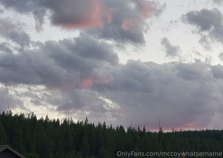 mccoywhatsername 最高のポルノスター 写真