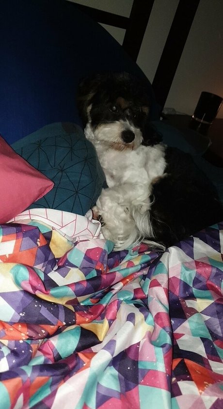 ハンズオンリーファン パーフェクト 写真