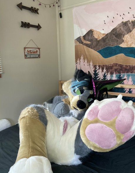 crownmutt 無料のスター ギャラリー