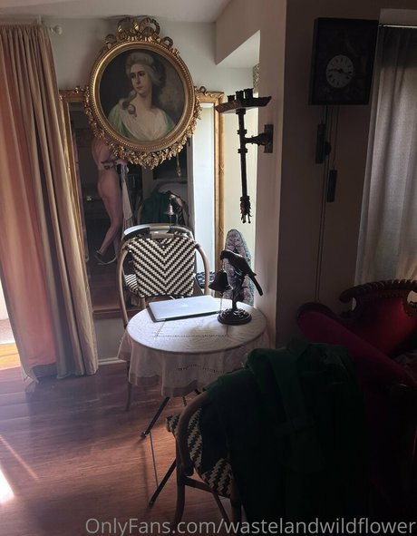 wastelandwildflower エロティックなスター 画像