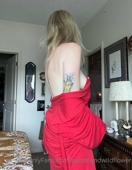 wastelandwildflower 高品質のスター 写真