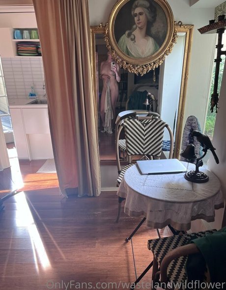 wastelandwildflower アダルトモデル ギャラリー