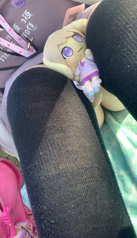 Gomi Kukara アートスター 写真