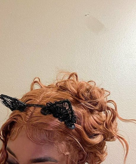 Rohilu スター 画像