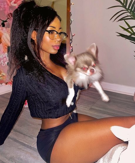 Ninarari トップモデル 写真