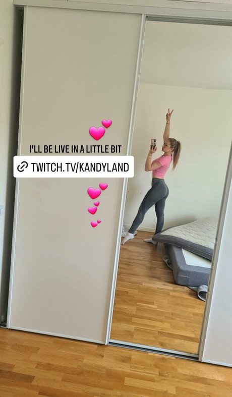 シーンオンリーファン パーフェクト アーカイブ