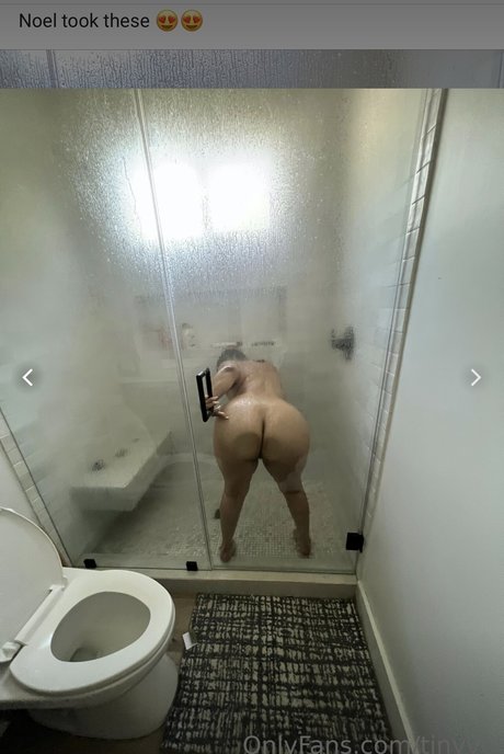 Tinyvel ポルノスター 画像