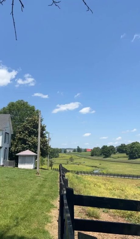 アマチュアトランスオンリーファン HD 画像