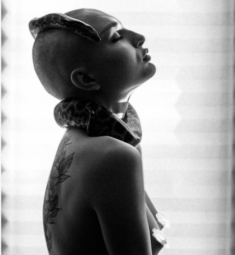 Pelageialynx 独占スター 画像