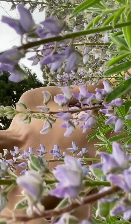 Jenners エロティック女優 写真