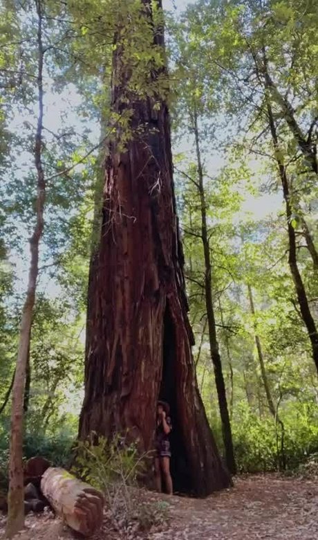 Jenners 可愛いモデル 画像