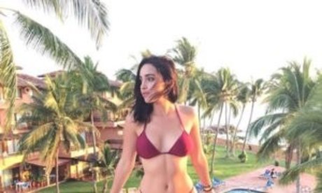 Felitrigo セックス女優 画像