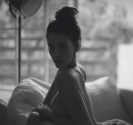 Hallmark Honeys HDモデル 写真