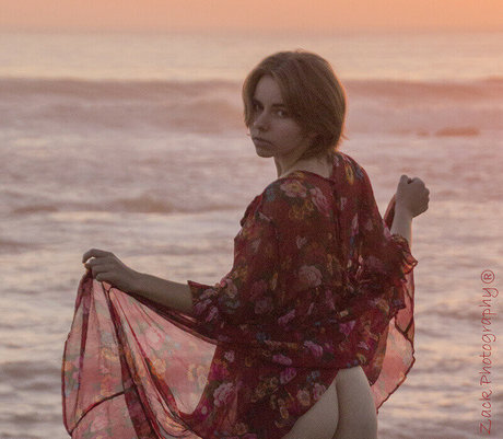 Spencer Parks アートスター 写真