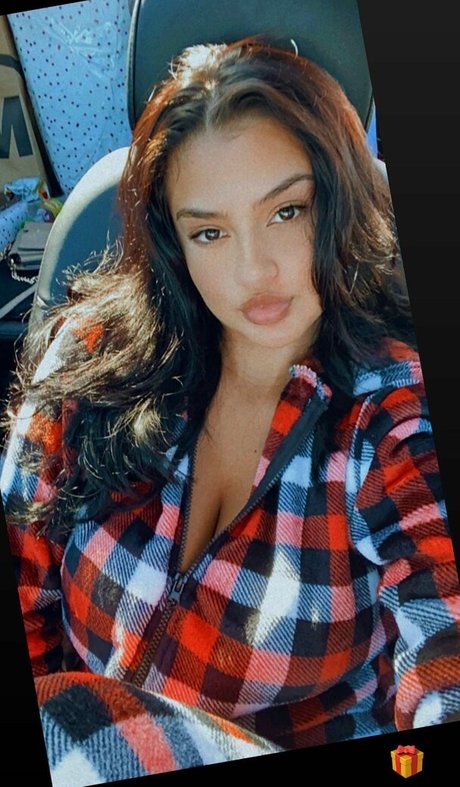 Lucero Crystal トップモデル 写真