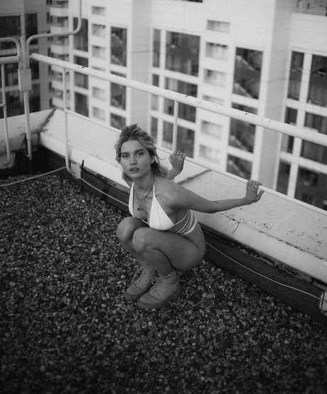 Ekrnw 高品質スター 写真