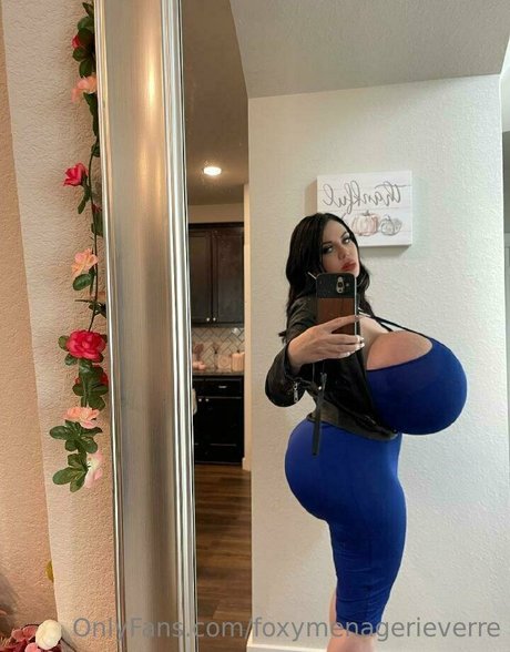 Foxy Menagerie Verre ポルノスター パーフェクト 画像