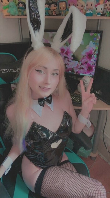 AboveStupid トップモデル 写真