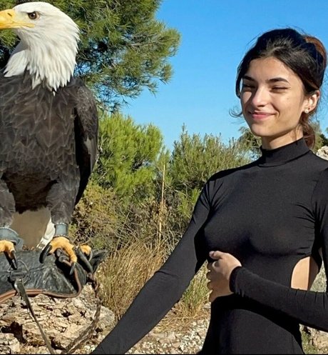 Blackamber51 高品質のスター アーカイブ