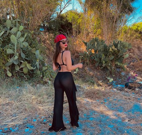 Ika かわいいスター 写真