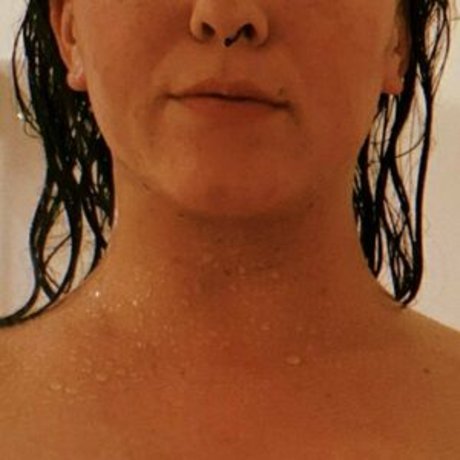 Aly The Armadillo かわいいスター 画像