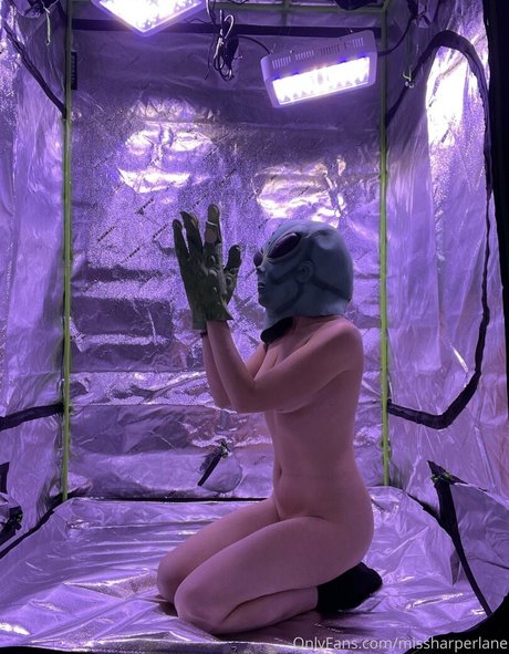 missharperlane ポルノモデル 写真