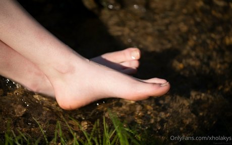 xholakys 無料のスター 写真