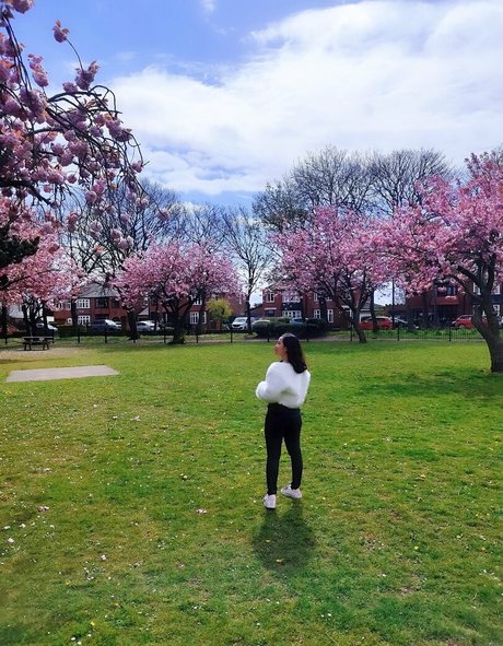 Cee cee24 完璧なスター 画像