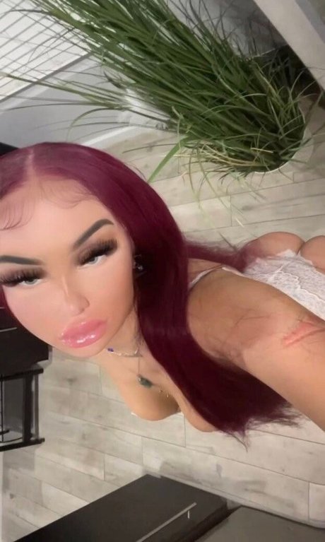 Goyard Wallet ホットなモデル 画像