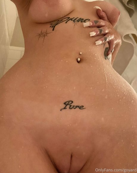 Goyard Wallet ポルノスター アート 写真