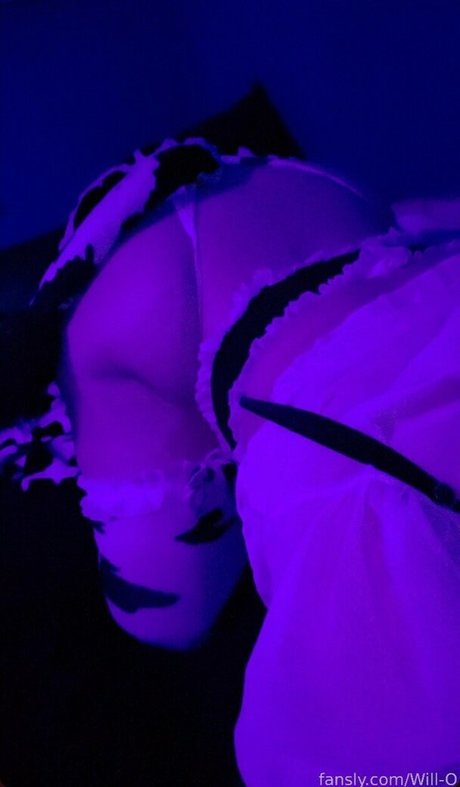 WillOWisps ヌードモデル 写真