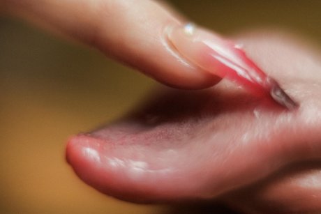 Lolawoo ポルノスター ホット 写真