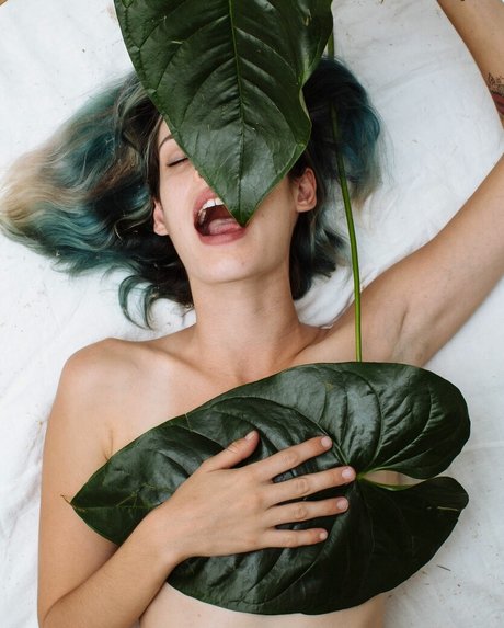 Carly Foulkes スター ギャラリー