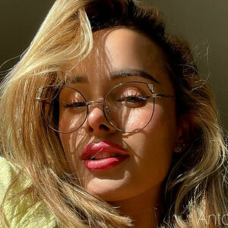 Calabaza Cutie アートスター アーカイブ