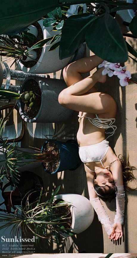 最高のプッシーOnlyFans 美しいxxx 画像