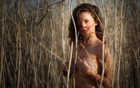 Yael Gayaa ヌードモデル 写真