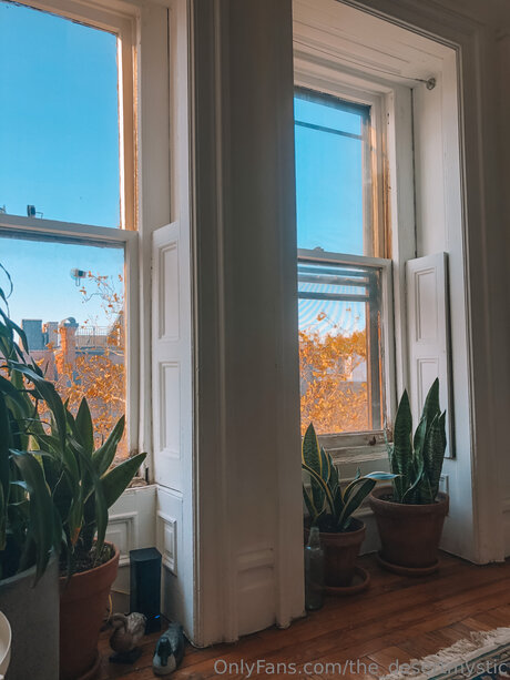 the desertmystic ヌードモデル 写真