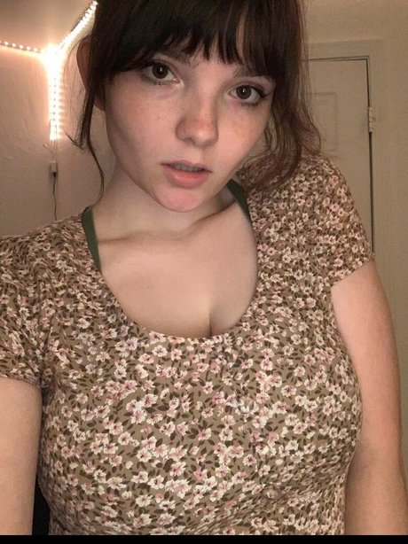 Stevie Rhodes スター ギャラリー