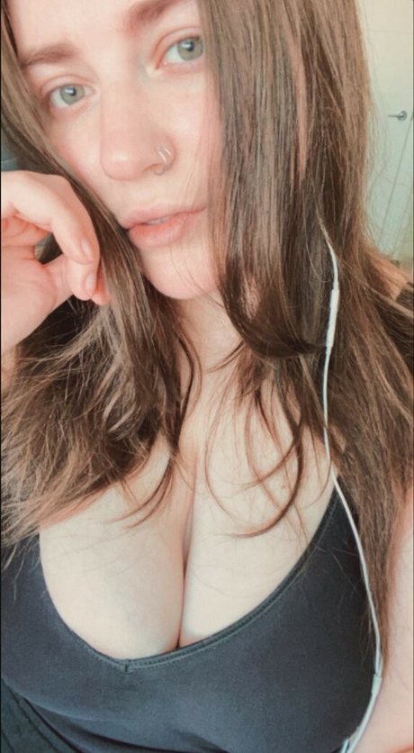 Floralis 美しいスター 写真