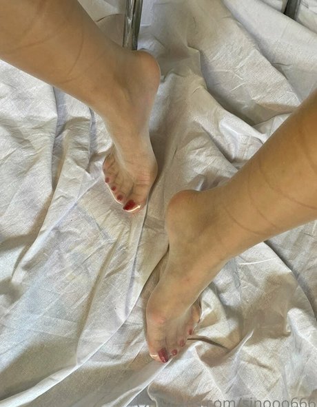 sinooo666 ポルノスター ベスト 画像