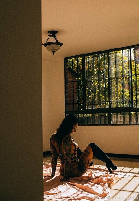 Sarah Schmidt ヌードモデル 写真