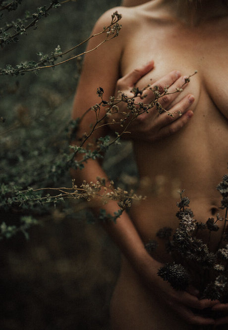 Reiki With Anna 素敵なスター 写真