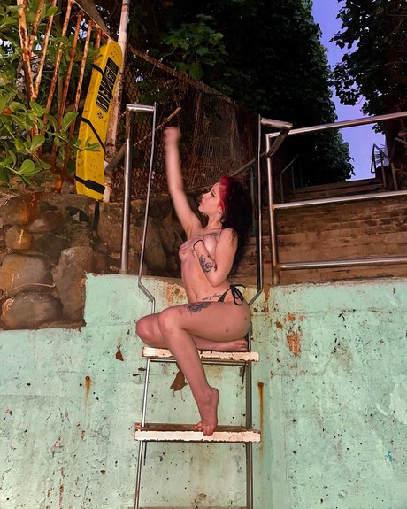 Hannsoff 高品質モデル 写真