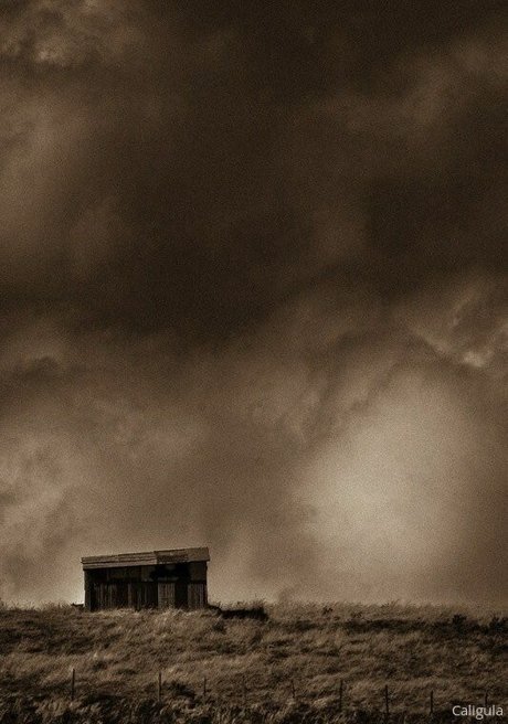 xxxcaligulaxxx 限定モデル ギャラリー