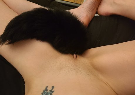 ch3rry x HDスター ギャラリー