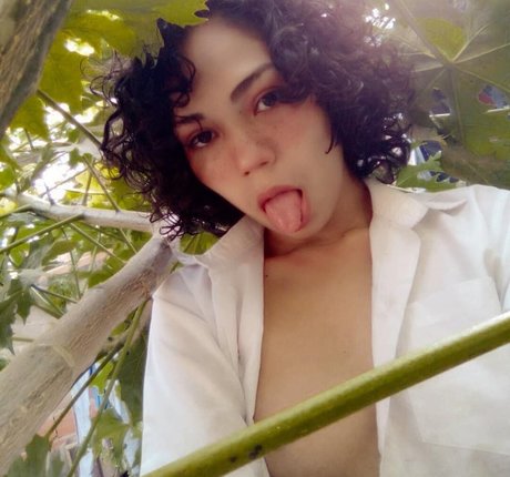 Maiyagami top profile image